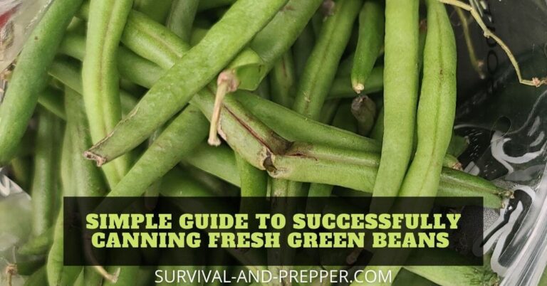 Simple Guide to Successfully Canning Fresh Green Beans