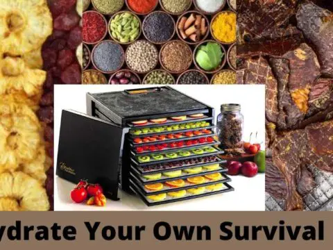 Dehydrating fruits, vegetables and meats