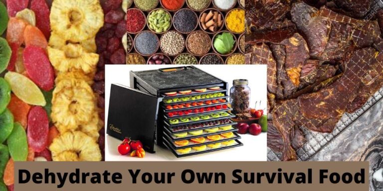 Dehydrate Your Own Survival Food