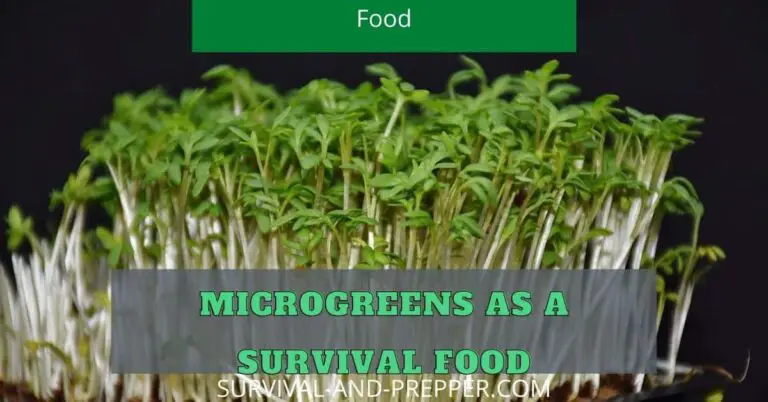 Microgreens as a Survival Food