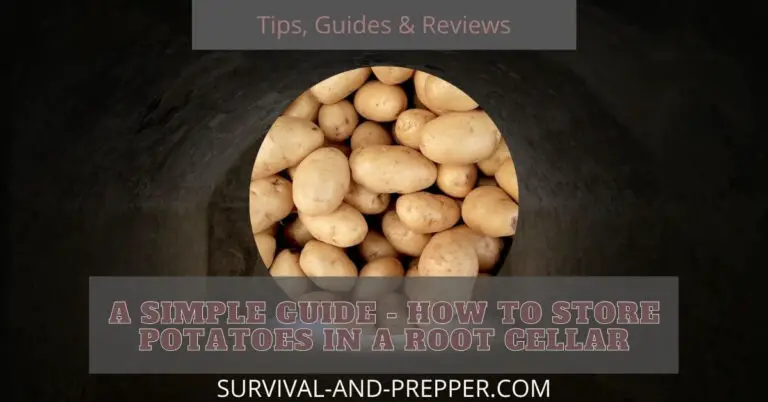 A Simple Guide – How to Store Potatoes in a Root Cellar