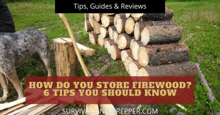 How do you Store Firewood? 6 Tips You Should Know