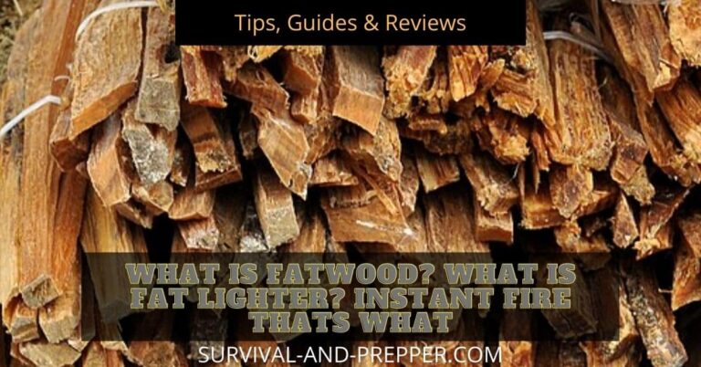 What Is FatWood? What Is Fat Lighter?