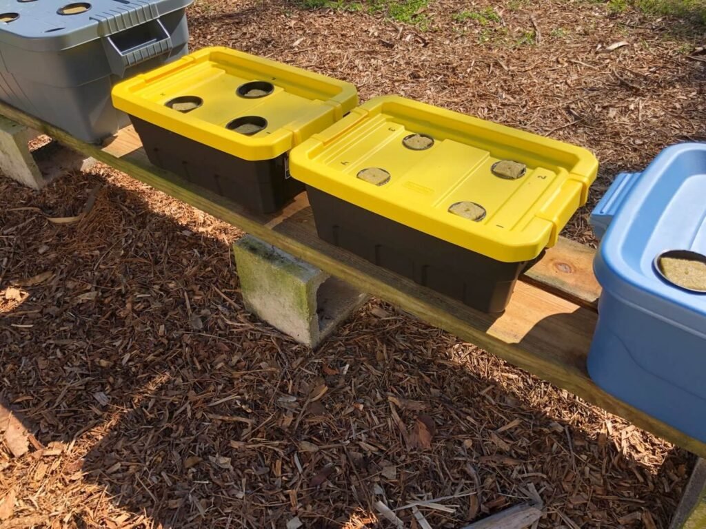 Yellow and black buckets with holes for hydroponic plants