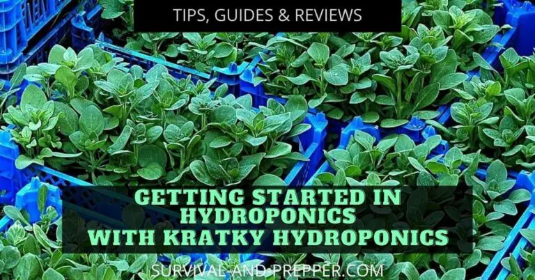 Getting started in Hydroponics – With Kratky Hydroponics