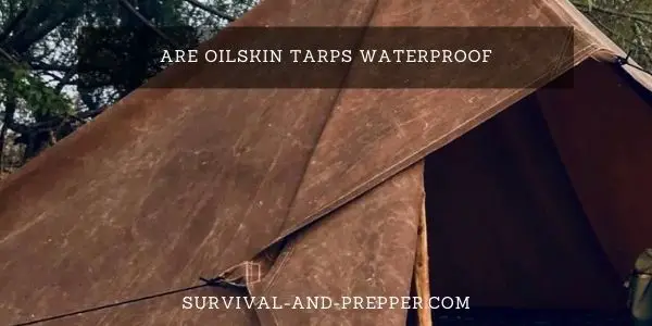 Are Oil Skin Tarps Waterproof