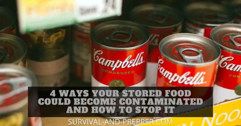 4 Ways Your Stored Food Could Become Contaminated And How To Stop It