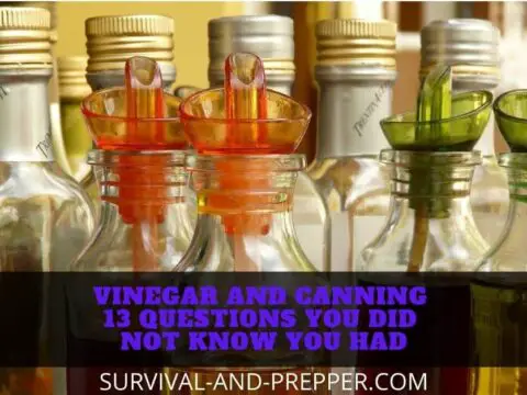 Post Title for article on vinegar and its uses in canning