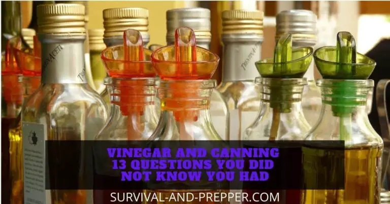 Vinegar and Canning – 13 Questions You Did Not Know You Had